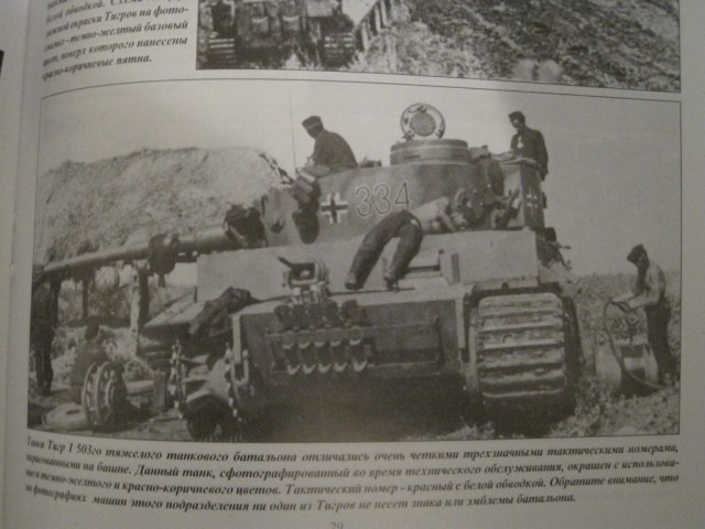 IMG_0784 [1024x768].JPG